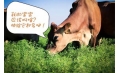 萌牛牛求征名 神秘嘉宾等你哦