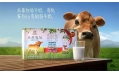 2016年热门“关键词”排行榜